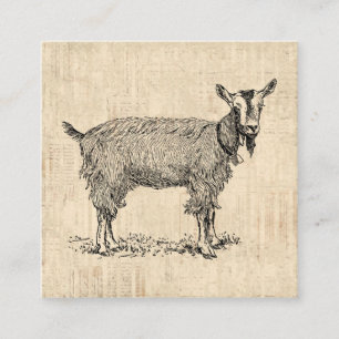 Kute Goat met Bell Illustration Antiek Script Informatiekaartje