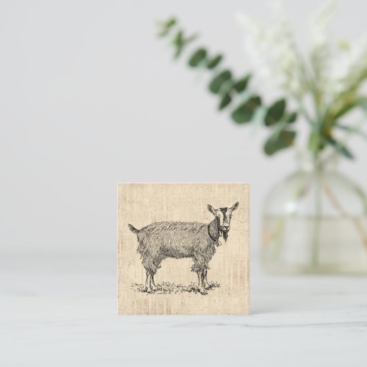 Kute Goat met Bell Illustration Antiek Script Informatiekaartje (Staand voorkant)