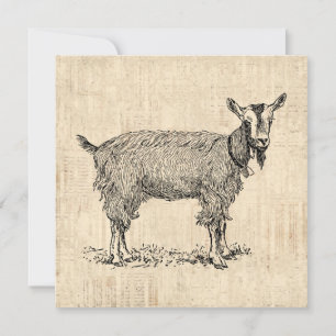Kute Goat met Bell Illustration Antiek Script Kaart