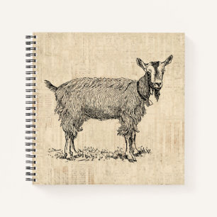 Kute Goat met Bell Illustration Antiek Script Notitieboek