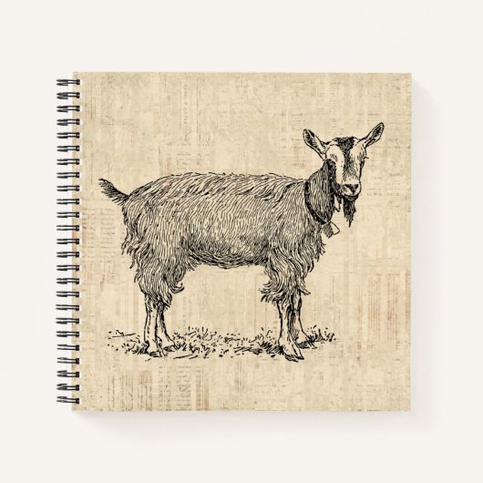 Kute Goat met Bell Illustration Antiek Script Notitieboek (Voorkant)