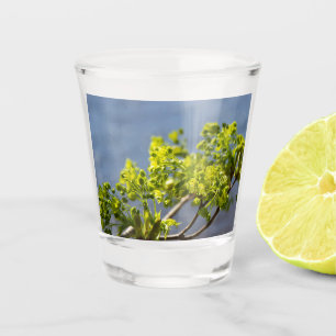 Kute green branch in wind shot glas
