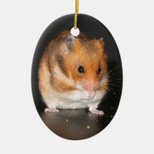 Kute Hamster-sierplant Keramisch Ornament
