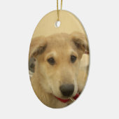 Kute honden en Puppies Mans second Best Friend.png Keramisch Ornament (Links)