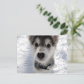 Kute husky puppy color briefkaart (Staand voorkant)