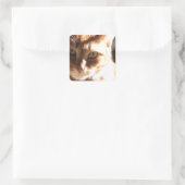 Kute Kat! Vierkante Sticker (Tas)