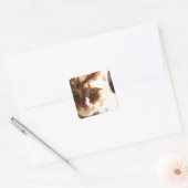 Kute Kat! Vierkante Sticker (Envelop)