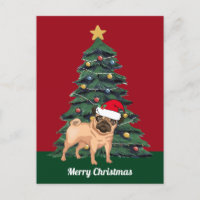 Kute kerstbek in Santa Hat Custom Red Holiday