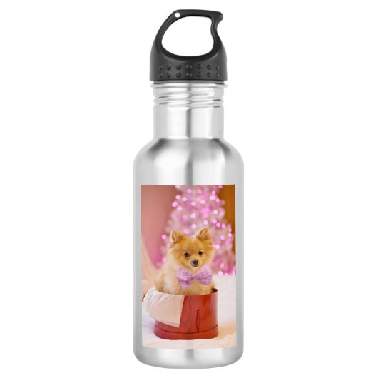 Kute kersthond met roze Bow-foto Waterfles (Voorkant)