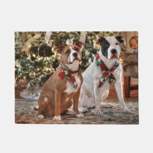 Kute kerstredding Pitbull and America Bull Dog Deurmat (Voorkant)