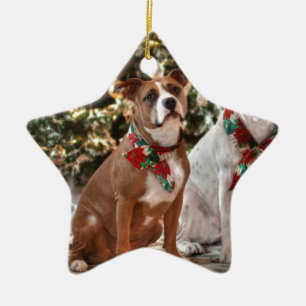 Kute kerstredding Pitbull and America Bull Dog Keramisch Ornament