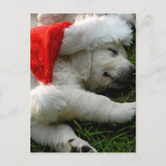Kute labrador puppy met x-mas pet briefkaart