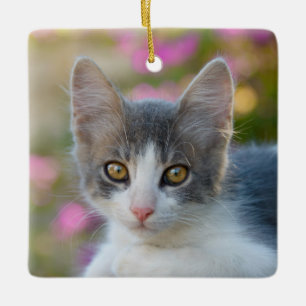 Kute Little Bicolor Kitten Fluffy Photo Cat Lovers Keramisch Ornament