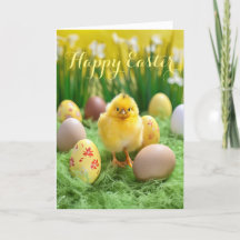 Kute Little Chick and Eggs Easter Holiday Kaart