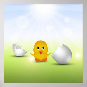 Kute Little Chick - Poster Print