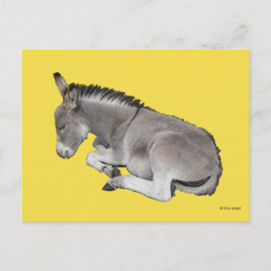 Kute Little Grey Donkey Baby Foal Laing Down Briefkaart