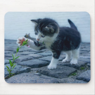 Kute Little Kitten Spelen met een ventilator Muismat