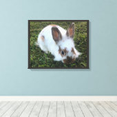 Kute Little Rabbit in the Grass Canvas Print (Insitu (Houten vloer))