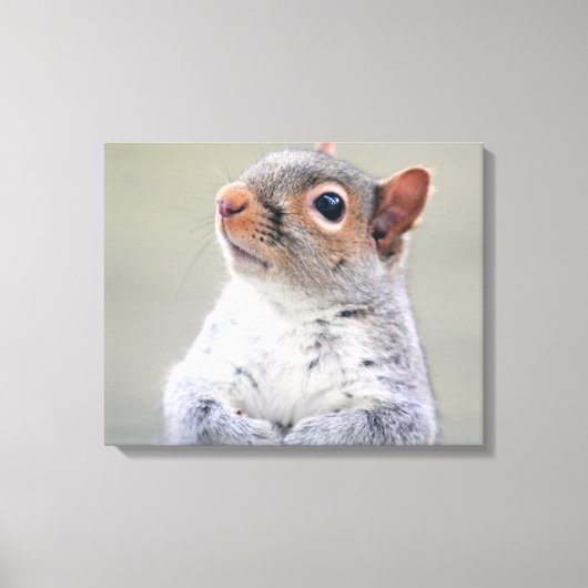 Kute Little Soft and Fluffy Grey Squirrel Canvas Afdruk (Voorkant)