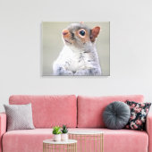 Kute Little Soft and Fluffy Grey Squirrel Canvas Afdruk (Insitu (Woonkamer))