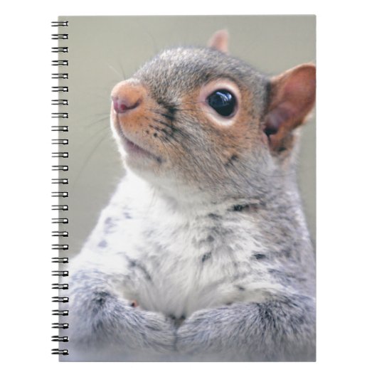 Kute Little Soft and Fluffy Grey Squirrel Notitieboek (Voorkant)