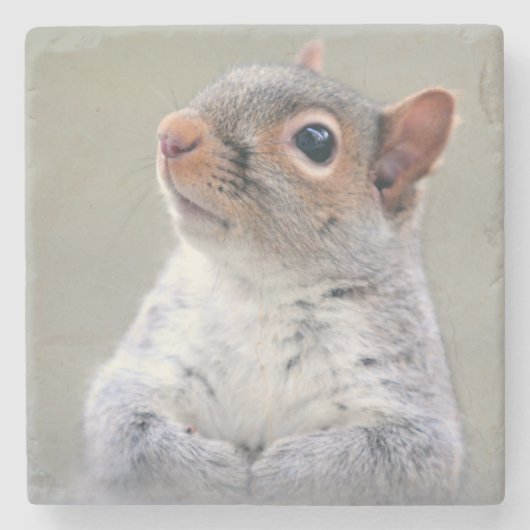 Kute Little Soft and Fluffy Grey Squirrel Stenen Onderzetter (Voorkant)