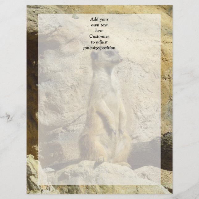 Kute meerfoto (Voorkant)