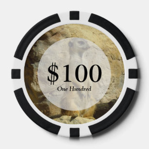 Kute meerfoto poker chips