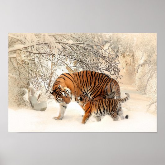 Kute moeder tijger met Baby in sneeuw Poster (Voorkant)