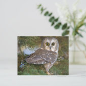 Kute Owl op fileboom Briefkaart (Staand voorkant)
