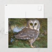 Kute Owl op fileboom Briefkaart (Voorkant / Achterkant)