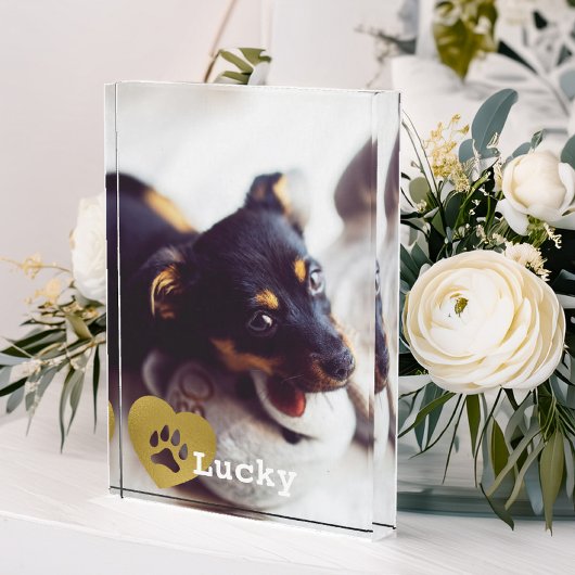 Kute print Gold Paw Print Pet Foto