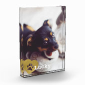 Kute print Gold Paw Print Pet Foto (Links)