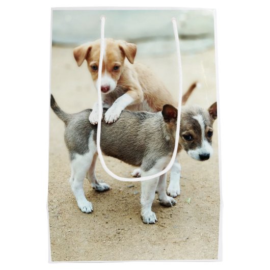 Kute Puppies die op strand spelen Medium Cadeauzakje (Achterkant)