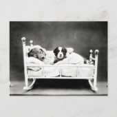 Kute Puppies in bed Briefkaart (Voorkant)