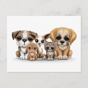 Kute Puppies, Kitten en Bunny Pet Portret White Briefkaart