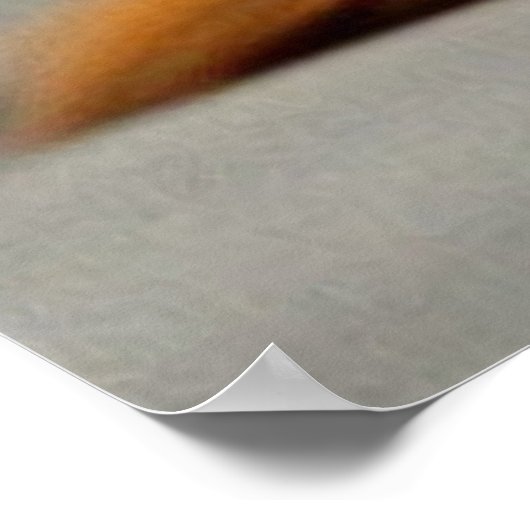 Kute puppy brown en wit poster (Hoek)