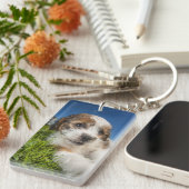 Kute puppy dog (Shitzu) Sleutelhanger (Voorkant Rechts)