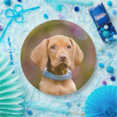 Kute puppyeyed Hungarian Vizsla Dog Puppy Photo " Papieren Bordje (Feest)