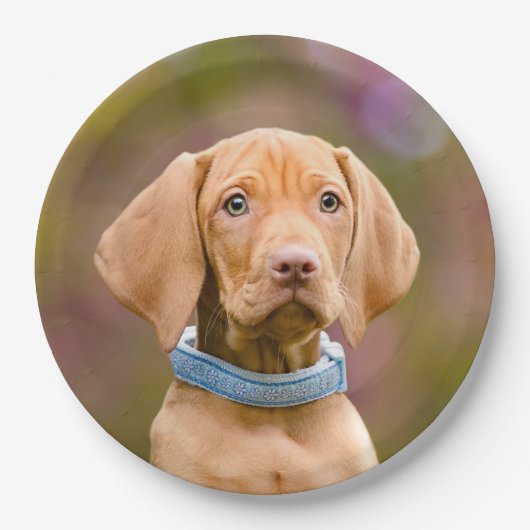 Kute puppyeyed Hungarian Vizsla Dog Puppy Photo " Papieren Bordje (Voorkant)