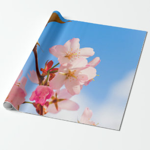 Kute Sakura Flowers open voor de lente-zonneschijn Cadeaupapier