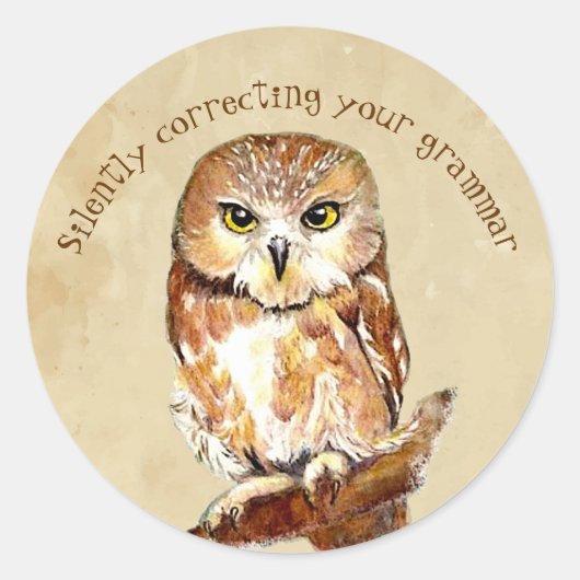 Kute Saw Whet Owl, Bird Correction Grammar Quote Ronde Sticker (Voorkant)