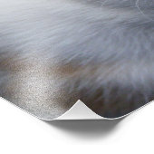 Kute Sinaasappel en White Kitten Poster (Hoek)