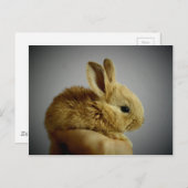 Kute small konbit in hand briefkaart (Voorkant / Achterkant)