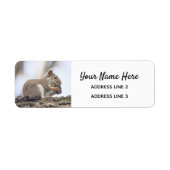 Kute Squirrel Return Address Labels (Voorkant)