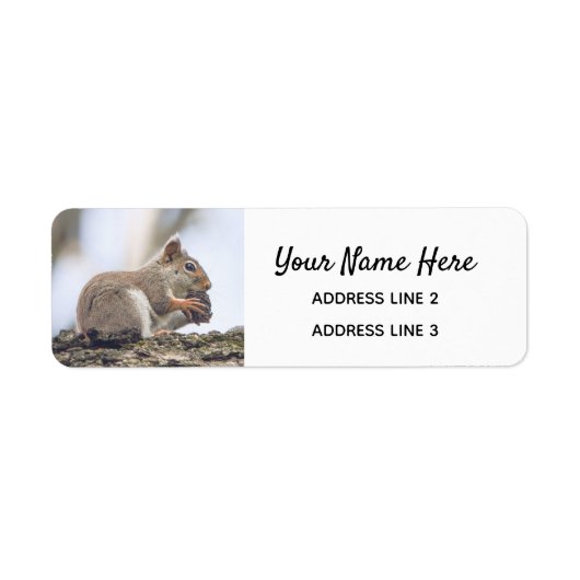 Kute Squirrel Return Address Labels (Voorkant)