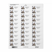 Kute Squirrel Return Address Labels (Full Sheet)