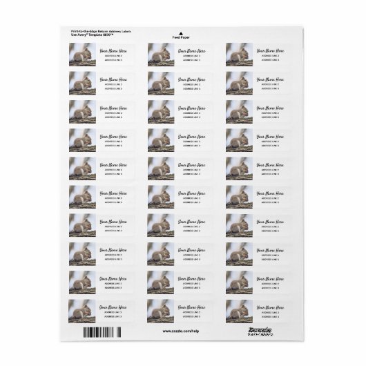 Kute Squirrel Return Address Labels (Full Sheet)