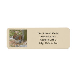 Kute Squirrel Return Address Labels