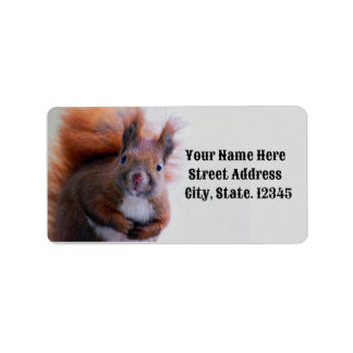 Kute Squirrel Return Label